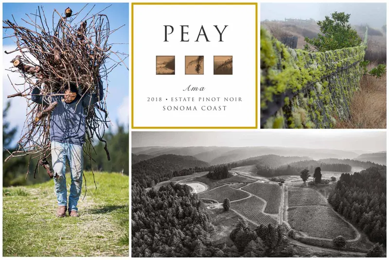 Ama Estate Pinot Noir 2022 – West Sonoma Coast Single-Vineyard Red Wine 1