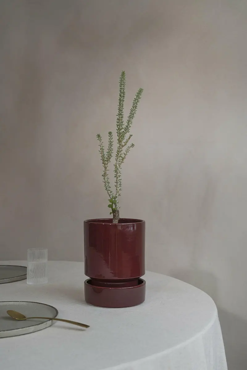 Bergs Potter Hoff Glazed Planter In Rusty Red – 18 Cm 1