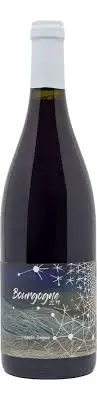 Domaine Didon Bourgogne Blanc Cuvée Longue 2022 – French White Wine 1