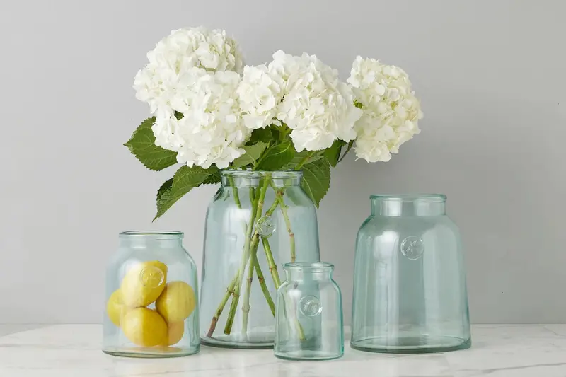 Etú Home French Bee Medium Mason Jar – Rustic Glass Container 1