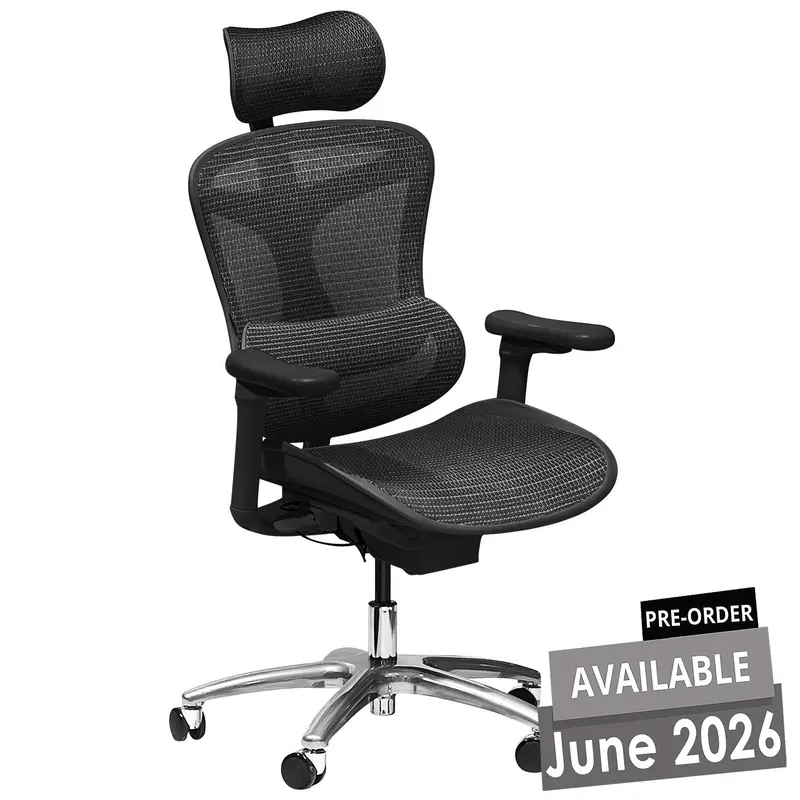Executive High-Back Ergonomic Office Chair 1