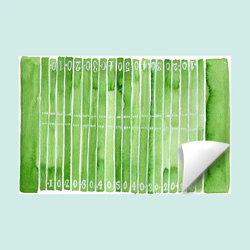 Grace Langdon Art Football Field–Patterned Placemats 1