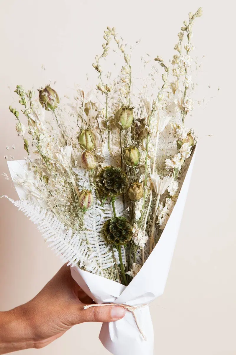 Idlewild Floral Co. Sage Small Field Bouquet – Minimalist Dried Stem Bundle 1