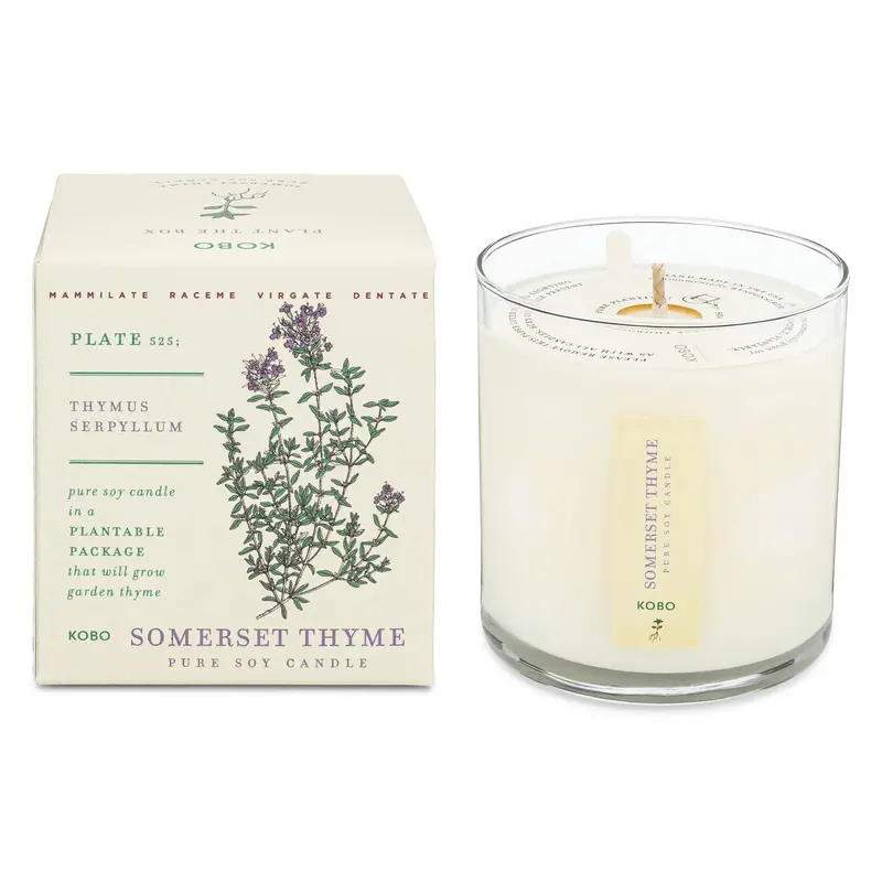 Kobo Somerset Thyme Scented Candle In Plantable Box – 9 Oz 1