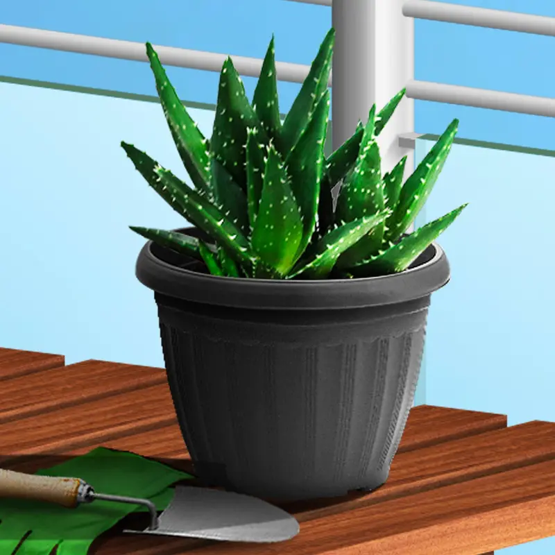 Medium Ceramic Planter – 16 Cm Diameter × 12 Cm Height 1