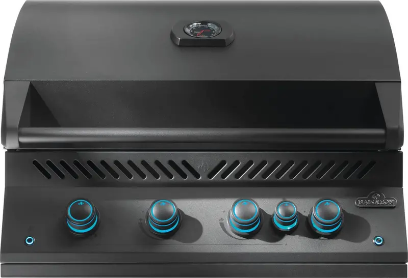 Napoleon 700 Series 32-Inch Built-In Grill – Matte Black With Rear Infrared Burner 1
