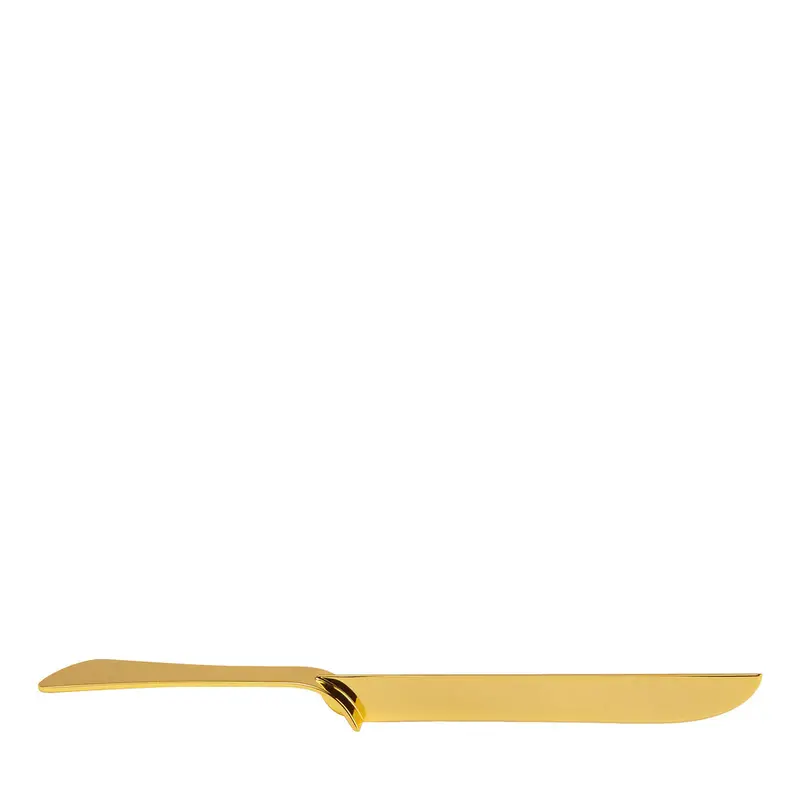 Passioni Golden Cake Knife With Ergonomic Handle 1