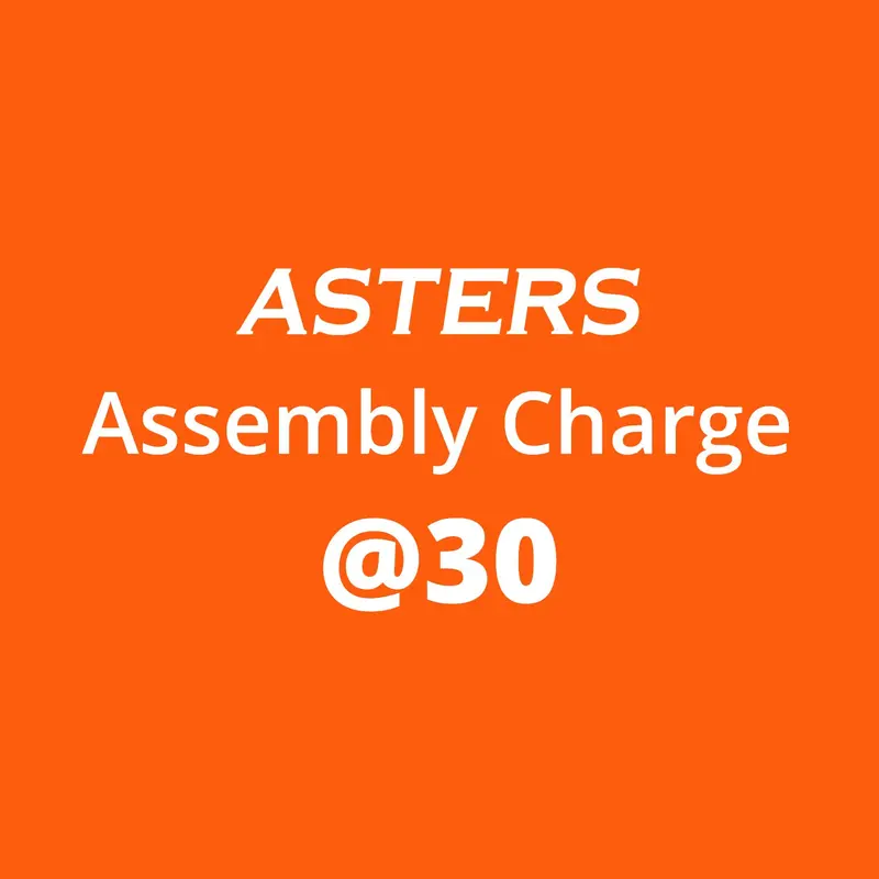 Professional Furniture Assembly Service 1