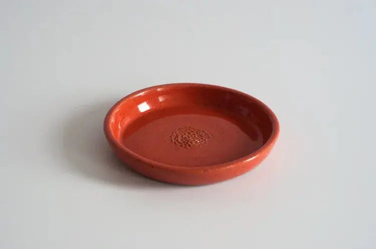 Rachaelpots Coral Garlic Scraper 1