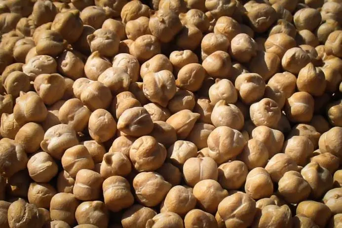 Rancho Gordo Garbanzo Beans – Heirloom Chickpeas 1