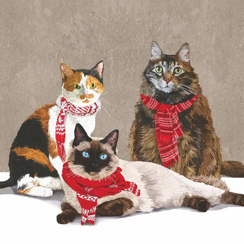 Scarf Cats Notepad By Paperproducts Design 1