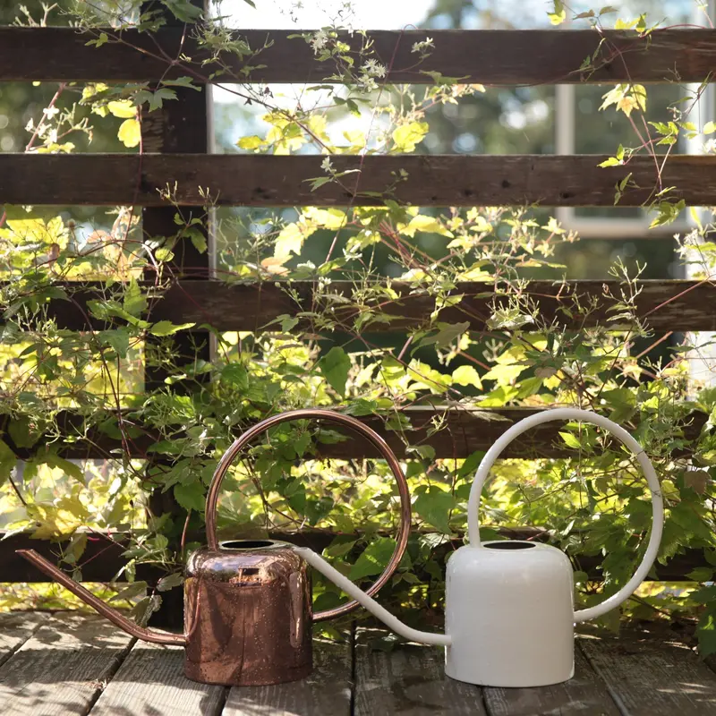 The Floral Society Copper Watering Can – 1.5L Capacity 1
