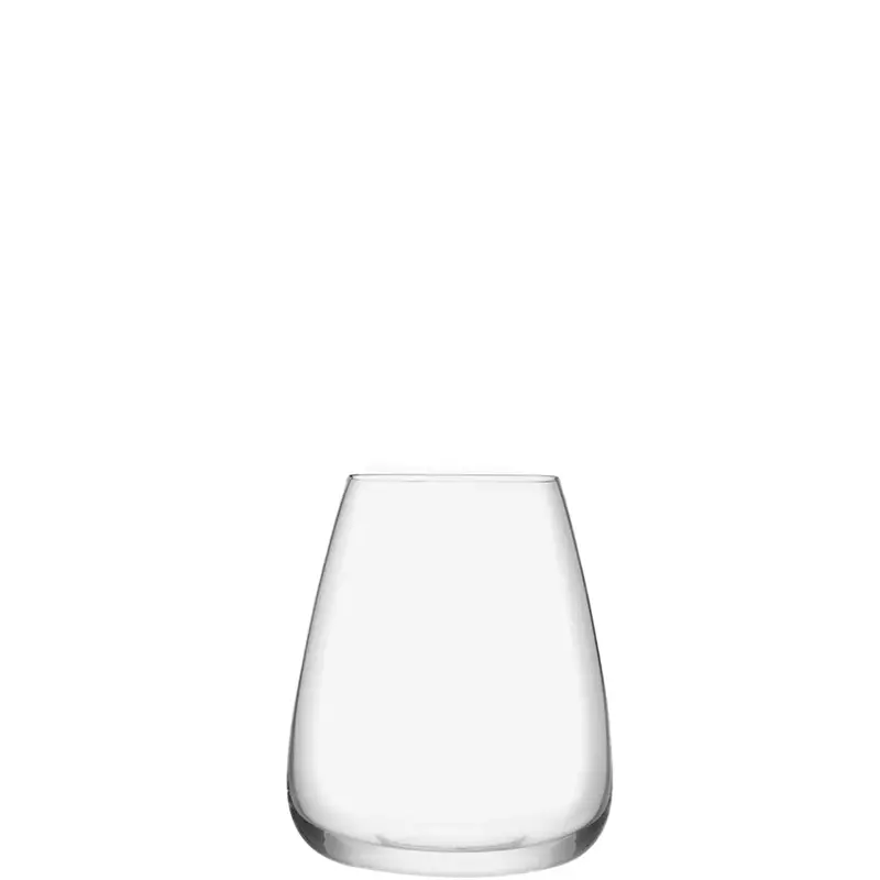 Wine Culture Everyday Water Glass 1